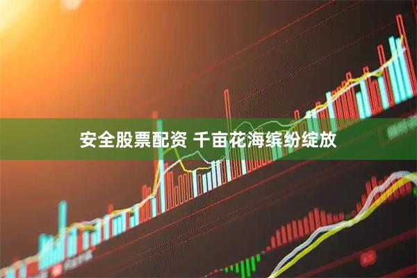 安全股票配资 千亩花海缤纷绽放